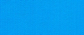Blue Bird 263