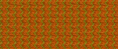 Citrus 847