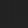 Noir 6028